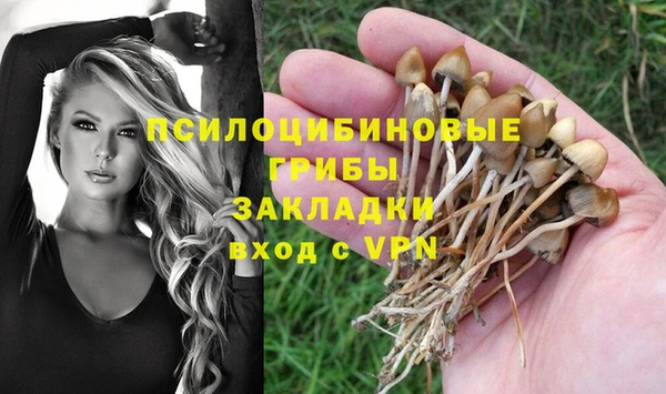 бутират Касимов