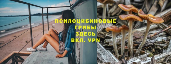 шишки Карталы