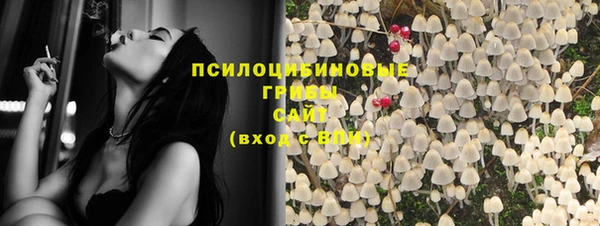 шишки Карталы
